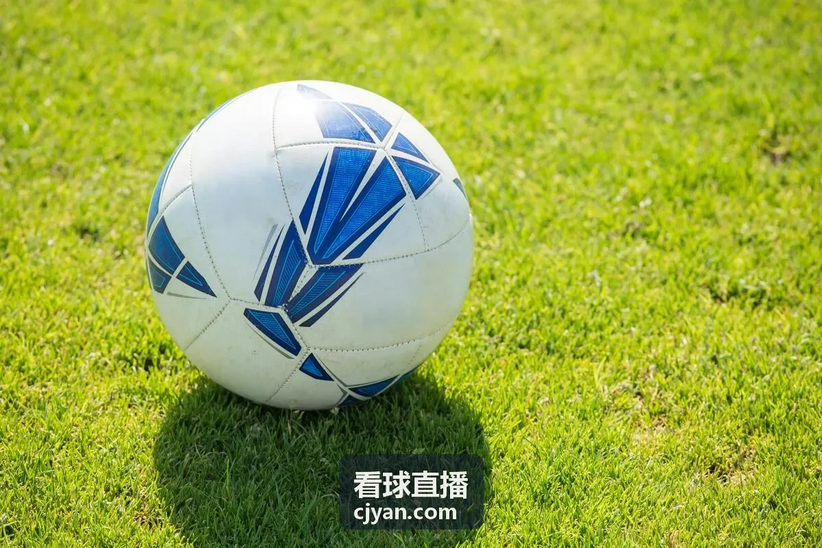 看球直播体育资讯 - 赛事分析报道
